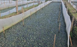 水产养殖技术哪里学最好？