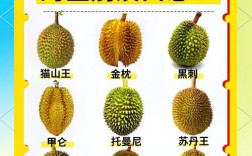 榴莲品种那么多，到底哪个最好吃？