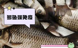 草鱼鲫鱼混养，池塘如何高效管理？