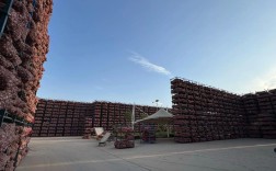 无锡大蒜子2025年价格会涨还是跌？