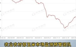 现在玉米价格走势预测