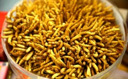 黄鳝养殖喂黄粉虫有哪些技术要点？