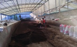 发酵床养猪技术到底靠不靠谱？