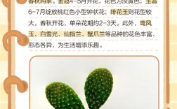 花仙人掌品种有哪些？