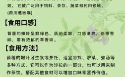 苜蓿人能吃的是什么品种