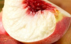 秋季常见桃子品种有哪些？