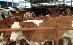 养殖业最稀少的品种究竟有多稀缺？