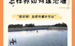 鱼塘混养黄鱼技术视频怎么学？