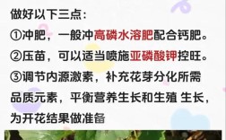草莓花期管理需掌握哪些技术要点？