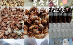 菏泽2025金蝉价格会涨还是跌？