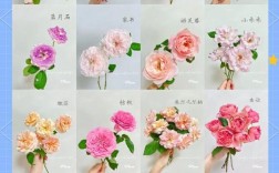 开花漂亮的月季品种有哪些？