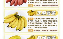 市面上香蕉是什么品种？