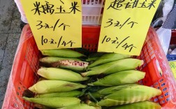 齐齐哈尔最新玉米价格