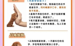 养狗方法技术视频，新手必看技巧有哪些？