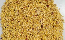 哪种辣椒种子品种更受欢迎？