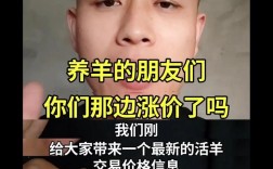 养羊论坛最新价多少？