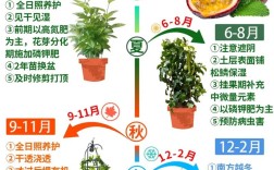 百香果栽培管理技术有哪些要点？