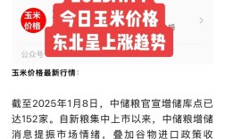 今日广东港口玉米价格多少？