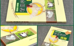 白玉肉鸡养殖技术与管理要点有哪些？