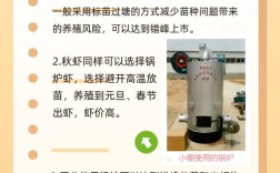 对虾养殖技术要点有哪些？