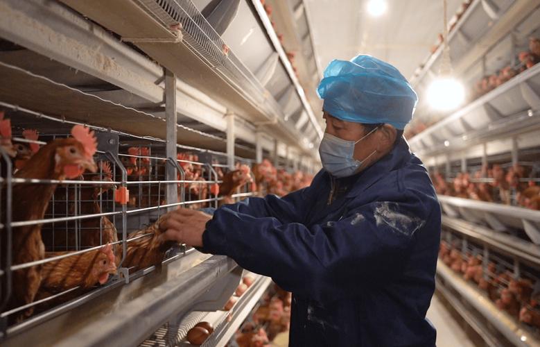 养殖技术视频哪里找?-图1 养殖技术视频哪里找?-图1