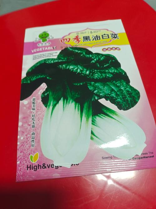 6月下旬播白菜，品种咋选才高产？-图3