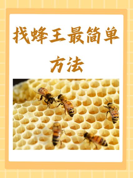 浆王蜜王有何特性差异?-图2 浆王蜜王有何特性差异?-图2