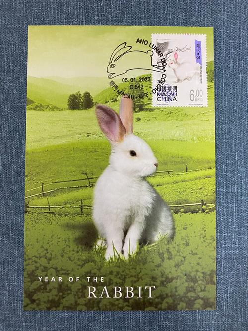 什么生肖需呵护珍稀品种?-图1 什么生肖需呵护珍稀品种?-图1