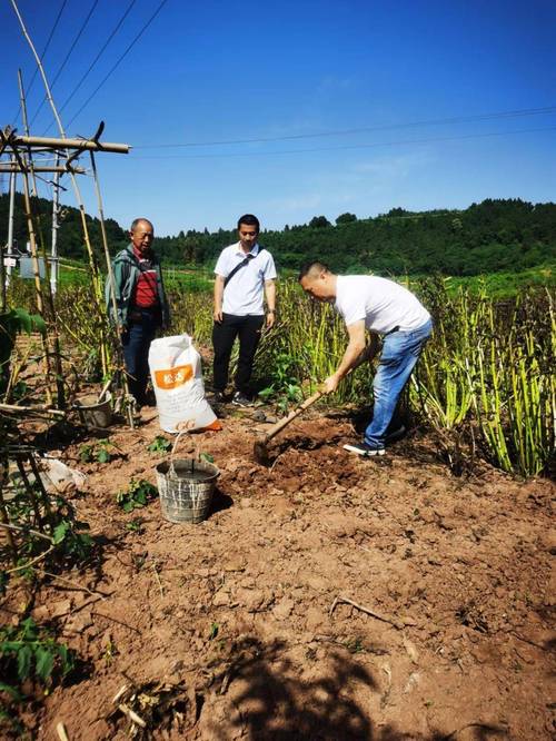 精选实用致富技术四百项,哪些能真正致富?-图2 精选实用致富技术四百项,哪些能真正致富?-图2