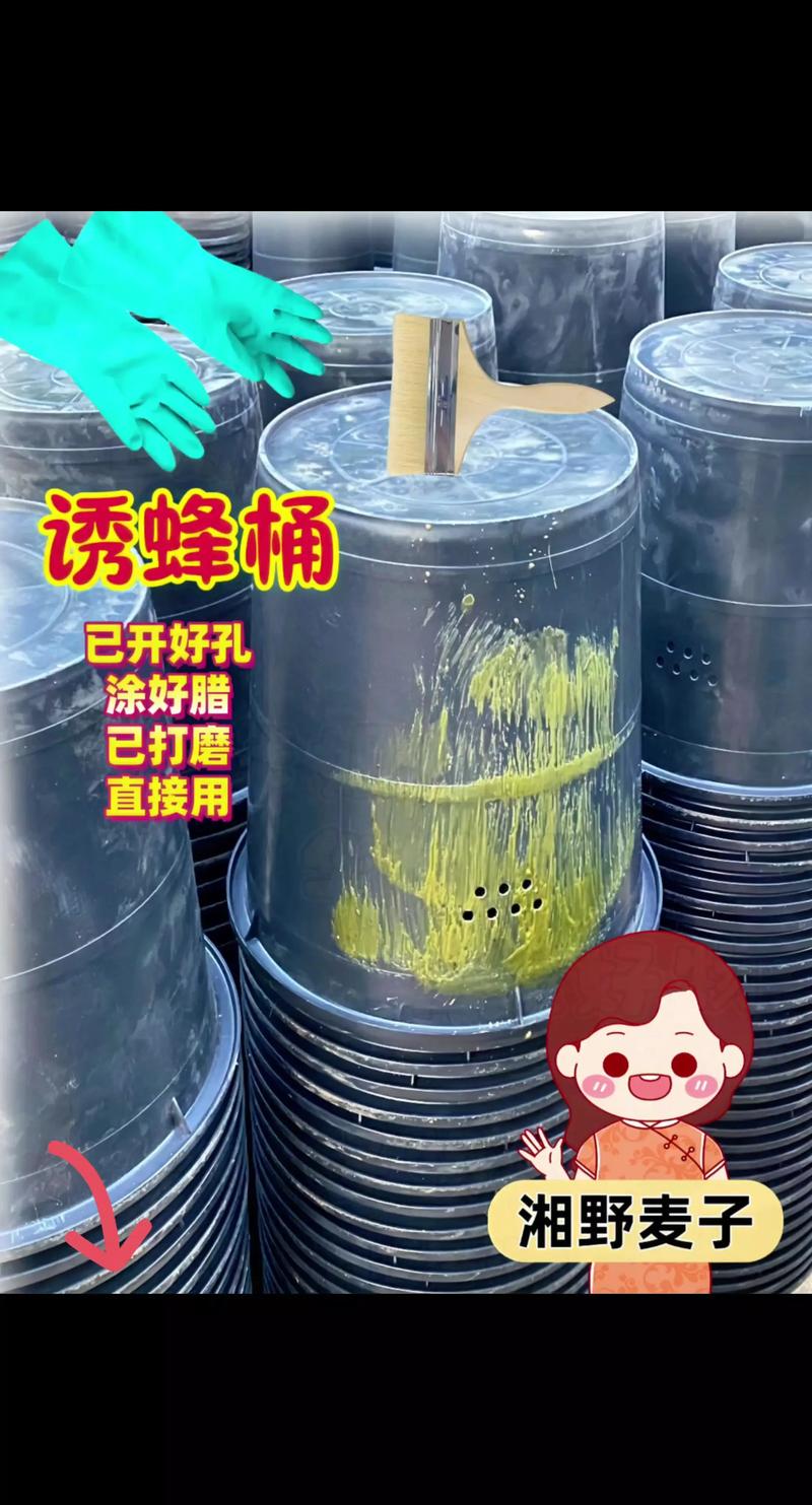 木桶养土蜂技术视频，新手必看哪些关键点？-图1