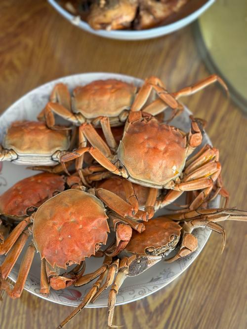 八月北方螃蟹有哪些品种上市?-图1 八月北方螃蟹有哪些品种上市?-图1