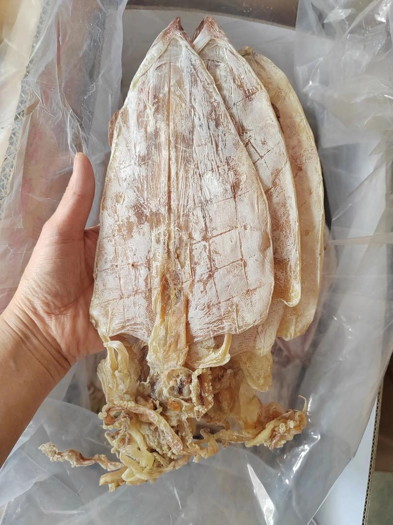 2025年鱿鱼价格会涨还是跌？-图1