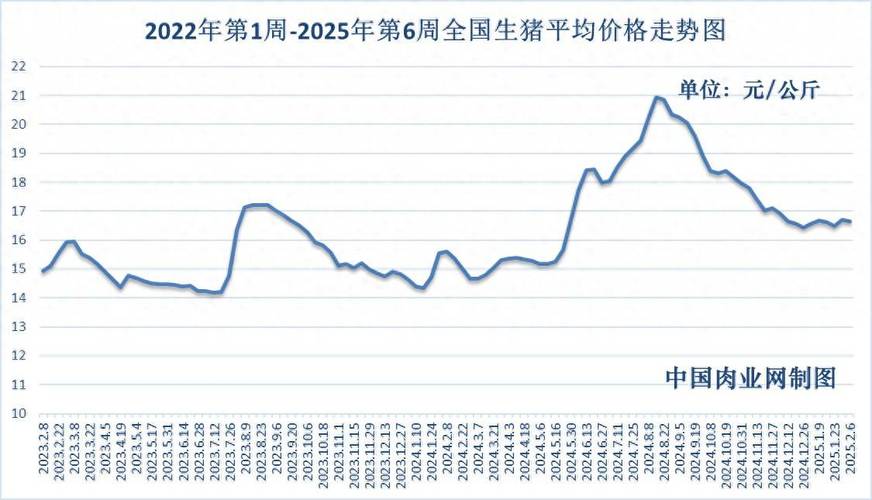 2025年生猪价格会涨还是会跌?-图1 2025年生猪价格会涨还是会跌?-图1