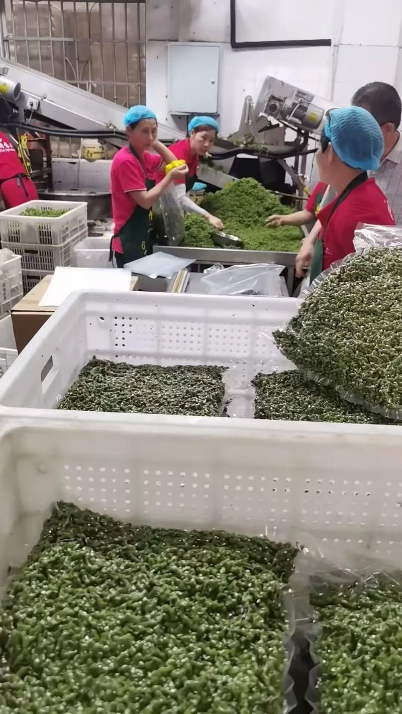 2025年青花椒收购价会涨还是跌？-图3