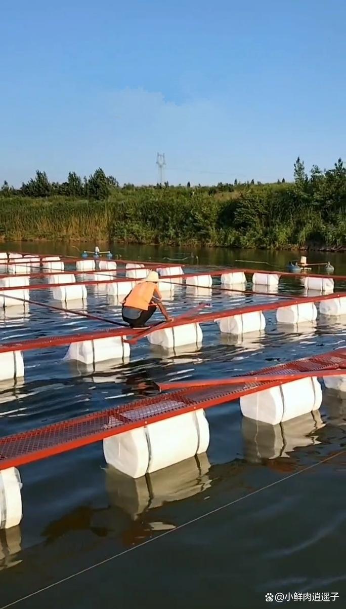 网箱养殖技术视频,看了就能学会吗?-图2 网箱养殖技术视频,看了就能学会吗?-图2