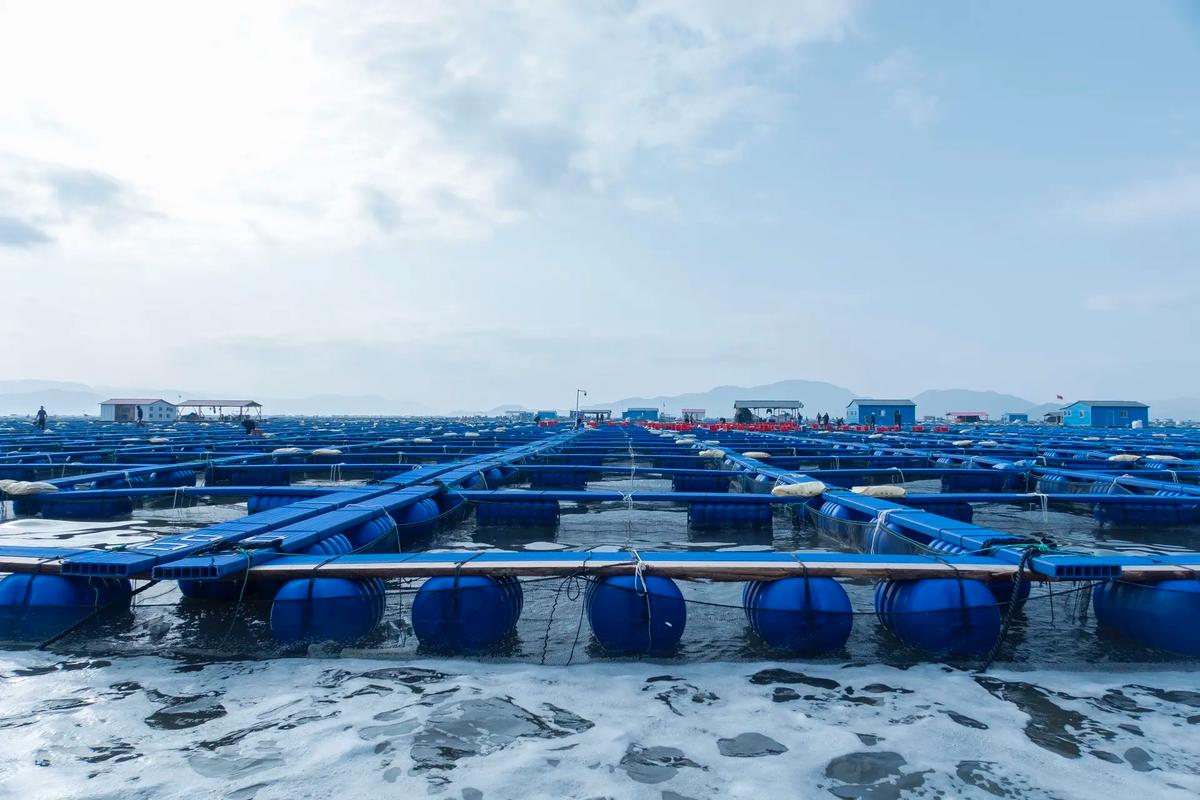 网箱养殖技术视频,看了就能学会吗?-图1 网箱养殖技术视频,看了就能学会吗?-图1