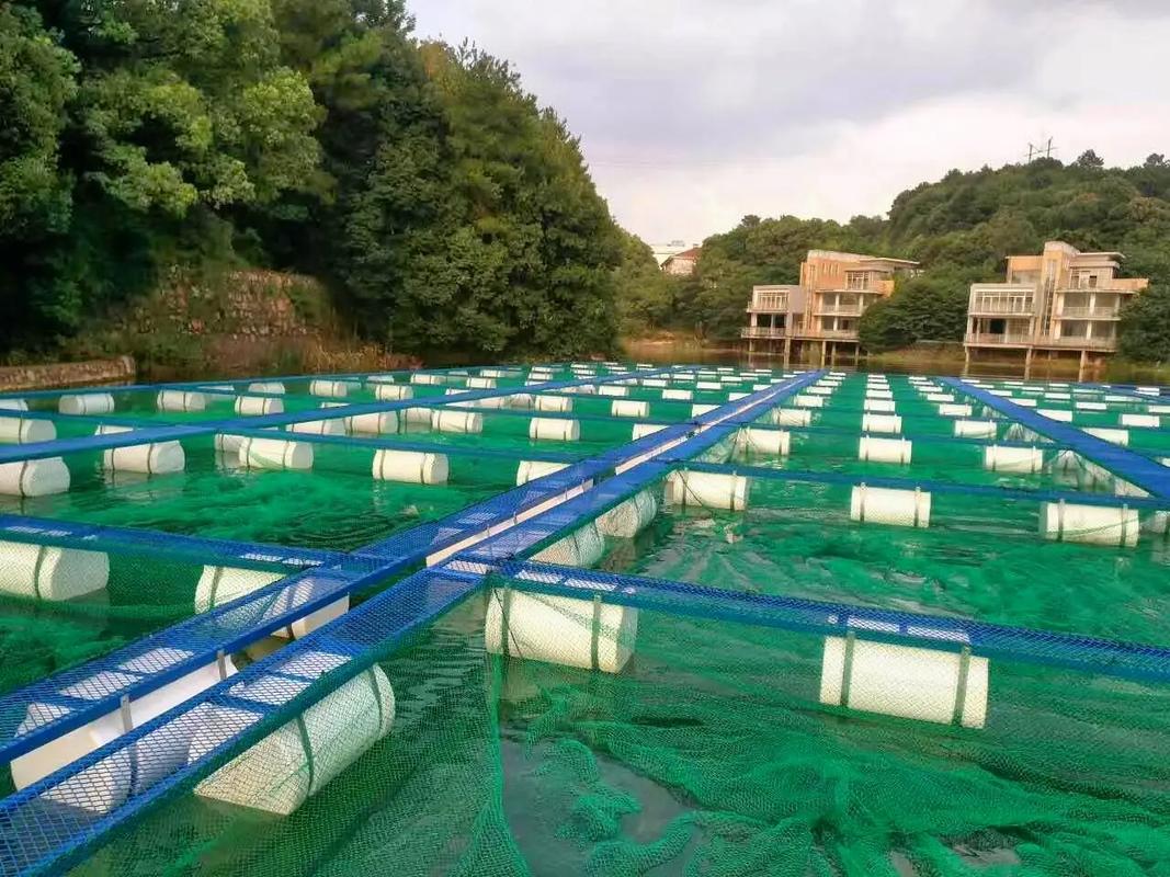 网箱养殖技术视频,看了就能学会吗?-图3 网箱养殖技术视频,看了就能学会吗?-图3