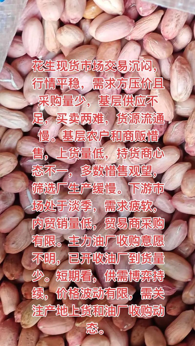 2025年花生米收购价会涨还是跌？-图2
