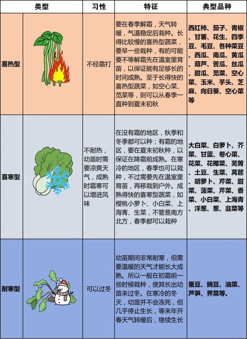 十大抗寒蔬菜品种,哪种最适合你种植?-图3 十大抗寒蔬菜品种,哪种最适合你种植?-图3