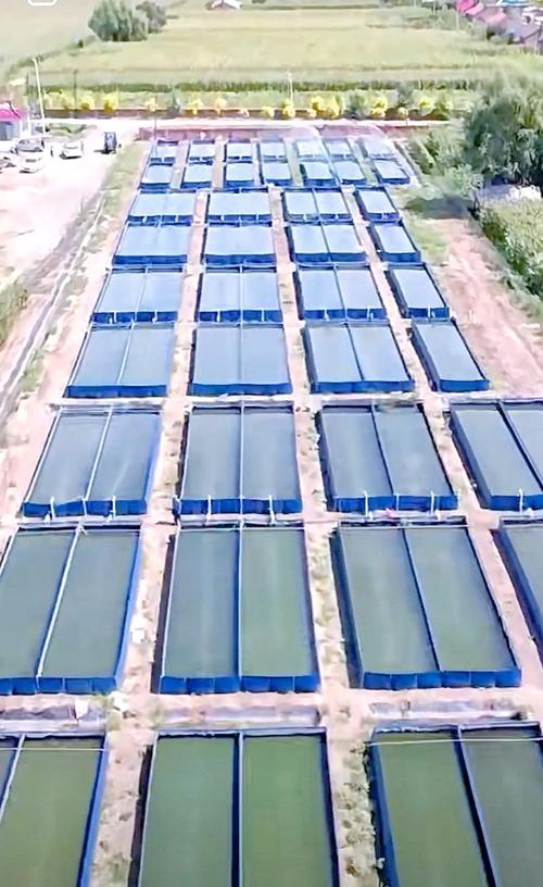 水蛭养殖技术视频如何高效播放学习？-图2