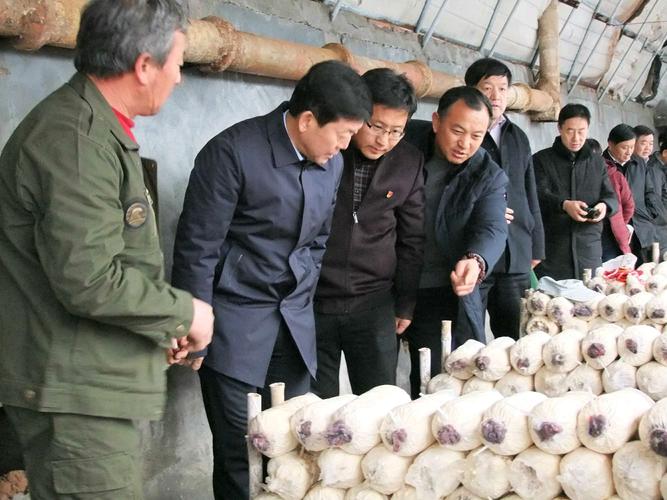 反季节白灵菇栽培新技术难点在哪？-图3