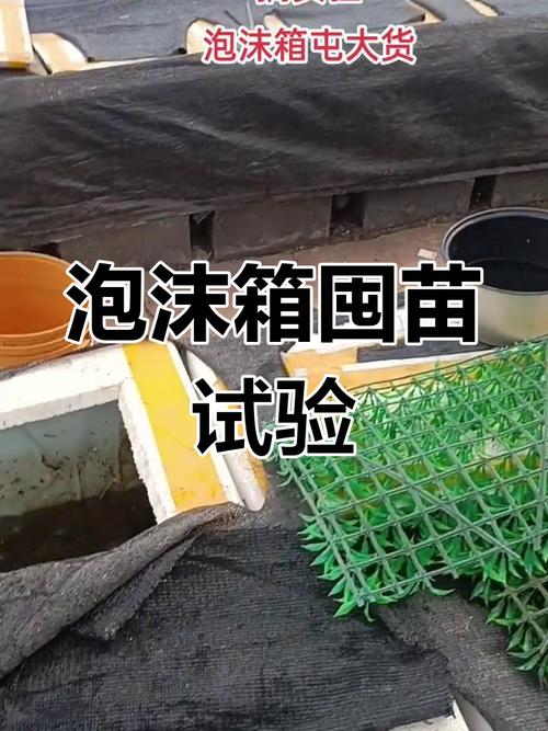 黄鳝箱式养殖新技术箱式有何优势?-图1 黄鳝箱式养殖新技术箱式有何优势?-图1
