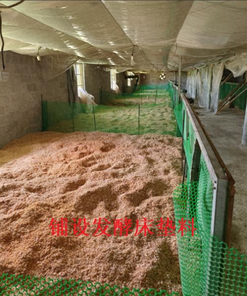 锯末发酵床养鸡技术如何操作?-图1 锯末发酵床养鸡技术如何操作?-图1