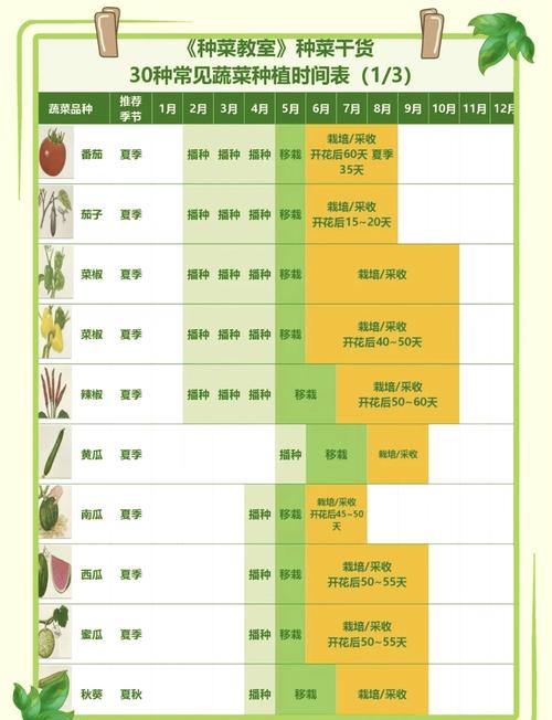 短周期农业新品种,如何实现高效与优质?-图1 短周期农业新品种,如何实现高效与优质?-图1