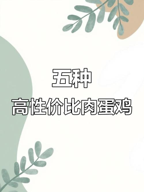 肉蛋两用鸡品种有哪些?-图2 肉蛋两用鸡品种有哪些?-图2