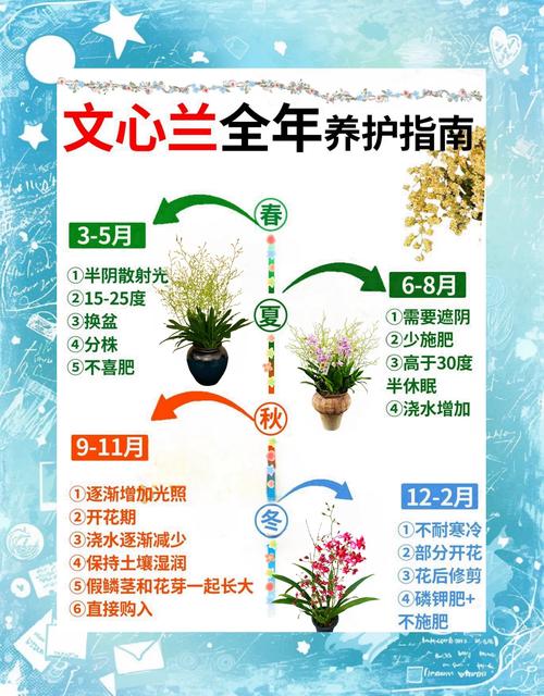 兰花养殖技术与管理,关键要点有哪些?-图3 兰花养殖技术与管理,关键要点有哪些?-图3