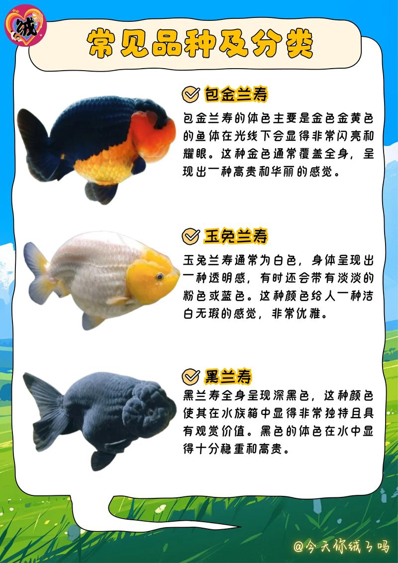 养殖业饲养标准品种可行吗?-图1 养殖业饲养标准品种可行吗?-图1