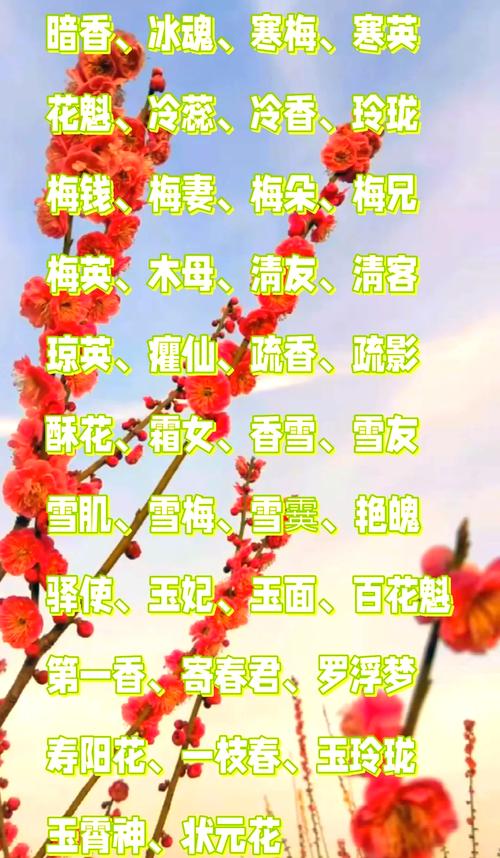 哪种梅花最耐寒?排行榜前三是哪些?-图3 哪种梅花最耐寒?排行榜前三是哪些?-图3