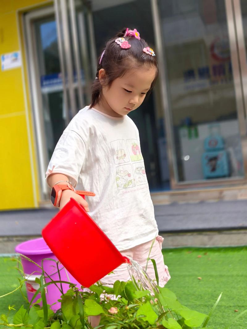 娃娃菜幼苗浇水施肥咋管？-图2