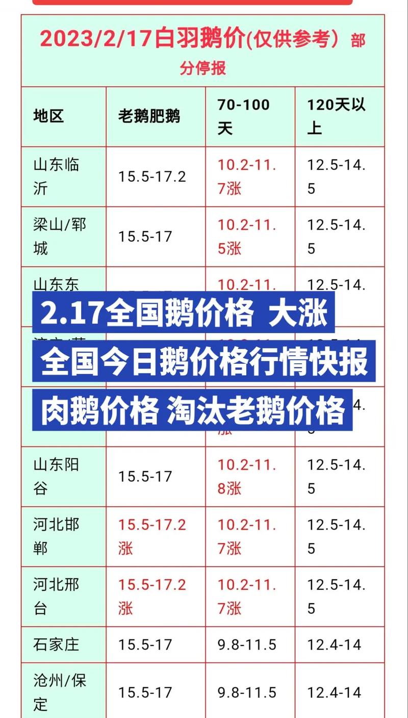 2025年鹅价会涨还是跌?-图1 2025年鹅价会涨还是跌?-图1